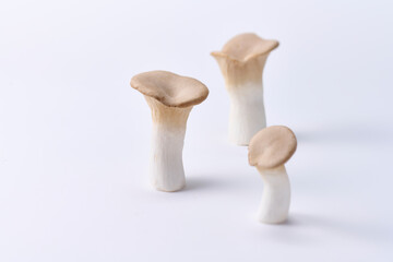 エリンギ, ,茸, 野菜, 食材, 白バック