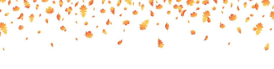 Autumn leaf long banner. Fall maple background. October foliage frame. Oak decor september poster. Orange plant flying. Thanksgiving day card. Harvest party invitation. Vector illustration