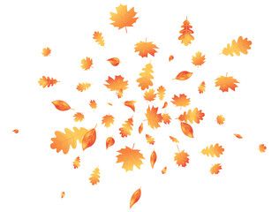 Autumn leaves flying composition. Fall maple background. October foliage frame. Oak leaf decor september poster. Orange plant. Thanksgiving day card. Harvest party invitation. Vector illustration