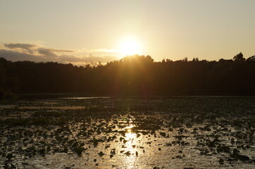 Naklejka premium sunrise over the river