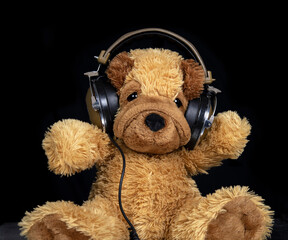 Teddy dog with headphones