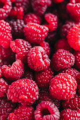 Fresh ripe raspberries, close-up. Berry colorful background