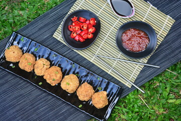 fried meatballs. food photo. fried fish balls. high point of view.
Fried fish balls with sauce and chili as a complementary snack. frozen food. selective focus. black grass and pedestal background