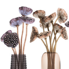 decorative bouquet of dried flowers in a vase with Dried Lotus on a white background