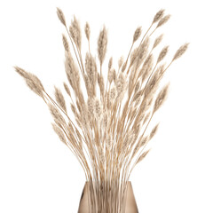 Fototapeta premium decorative bouquet of dried flowers in a vase with white reeds on a white background