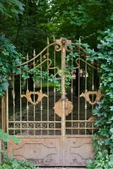 iron vintage gate closed a long time ago
