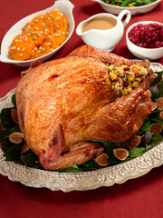 Thanksgiving Turkey Dinner