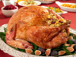 Thanksgiving Turkey Dinner