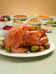 Thanksgiving Turkey Dinner