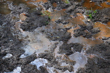 Puddle with mud and water