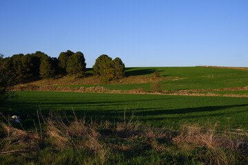 Landscape of a green farm
