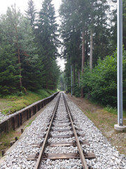 Bahnschienen im Wald 2