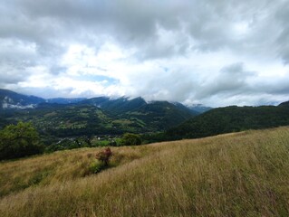 Beautiful landscape overlooking the Carpathian mountains in summer with green grass, trees and sky