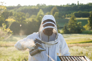 Beekeeper working in the apiary with bee smoker at sunset