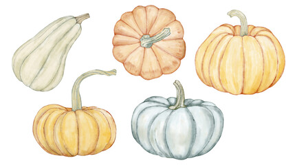 Autumn clip art 5 variations of pumpkin