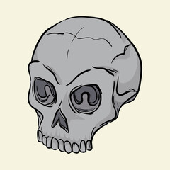 Human skull. Hand drawn vector illustration isolated on background.
