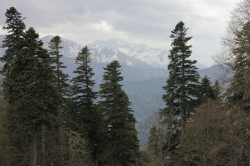 magical landscapes of the Republic of Adygea