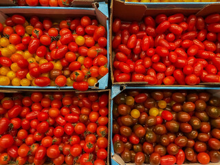 Picture of different types of cherry tomatoes in boxes at street market. Red cherry, yellow cherry, pear and black cherry tomatoes at mediterranean market