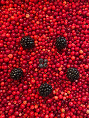 Beerenmix: Preiselbeeren, Brombeeren, Blaubeeren 