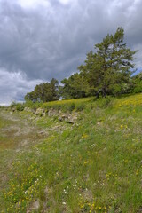 Landschaft im Naturschutzgebiet Grainberg-Kalbenstein bei Karlstadt, Landkreis Main-Spessart, Unterfranken, Bayern, Deutschland