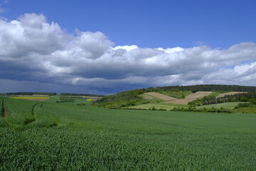 Landschaft zwischen dem Naturschutzgebiet Grainberg-Kalbenstein und dem Weinort  Gambach, Landkreis Main-Spessart, Unterfranken, Bayern, Deutschland