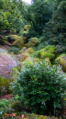 Chaos granitique en forêt de Huelgoat Finistère