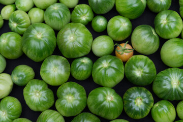 fresh green tomatoes 