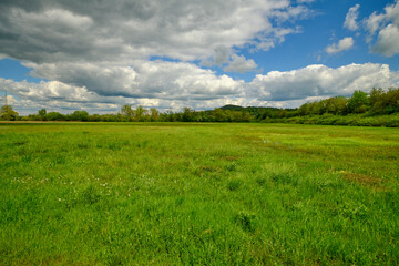 Niedermoor im Naturschutzgebiet Mainaue bei Augsfeld, Stadt Haßfurt, Landkreis Hassberge, Unterfranken, Franken, Bayern, Deutschland