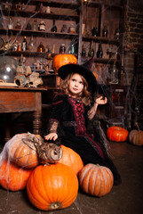 little cute attractive witch sitting on a pumpkin holiday halloween concept advertising holiday
