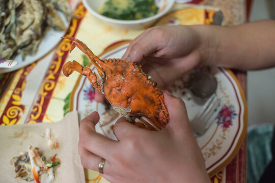 A woman picks apart a cooked flower crab, known locally as Alimasag. A common southeast asian staple and delicacy for lunch. Practice of kamayan.