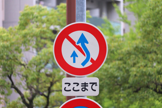 Soraneko Photos Images Assets Adobe Stock