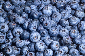 Blueberries background