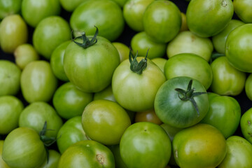 green and yellow tomatoes