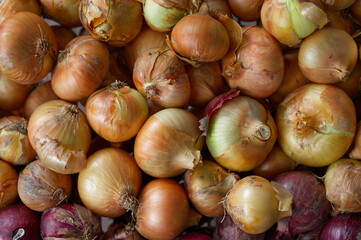 close up of onions