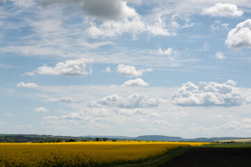 Cumulus clouds in the blue sky