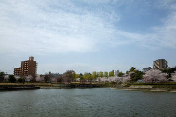 Naklejka premium river thames city