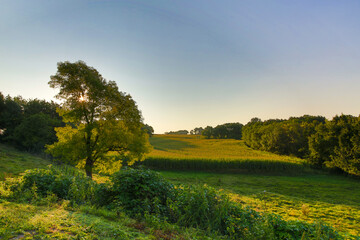 Balade en Quercy Blanc, de l'aube au coucher du soleil