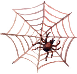 Halloween illustration with spider on the web
