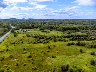 Obraz premium field forest