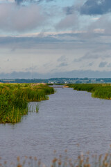 landscape with lake