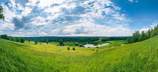 Fototapeta na wymiar Summer panoramic landscape with wildflowers and trees on a wide meadow, a winding river and a forest in the distance, clouds in the blue sky.