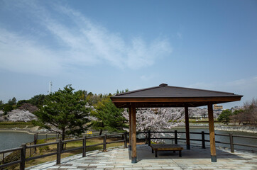 gazebo on the beach