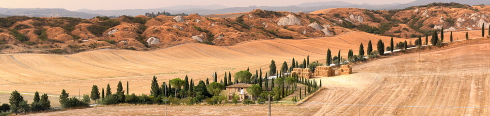 Panorama der Crete Senesi mit langer Zypressenallee