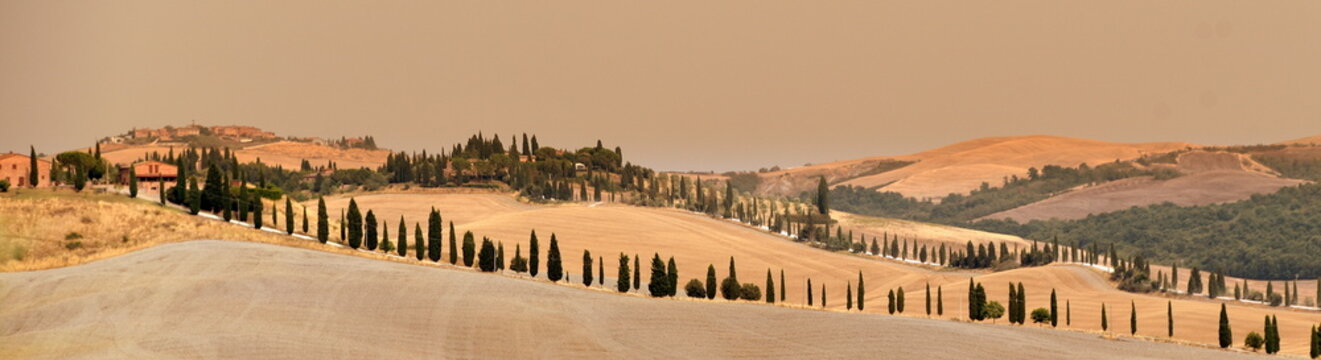 Liebliche Landschaft der Crete Senesi mit langer Zypressenallee