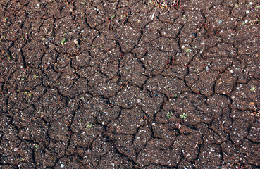 Close up dry brown ground background. Cracked soil texture.