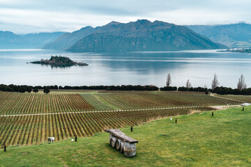Fototapeta premium winery in the mountains