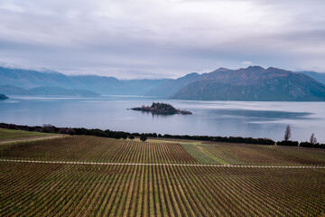 vineyard by the lake