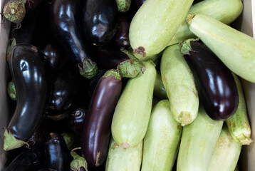 Ripe eggplants and zucchini on the counter in a vegetable shop. High quality photo
