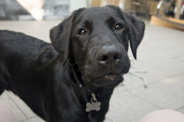 Fototapeta premium Wat is er?