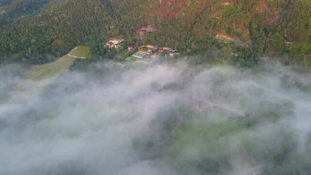 Mountains in Jarabacoa, Dominican Republic, in the morning and fog, amazing enviroment with trees and El Pico Duarte at the background